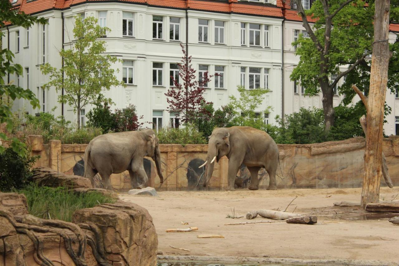 Grosse Wohnung Im Neu-Seen-Land Leipzig Markkleeberg Zewnętrze zdjęcie